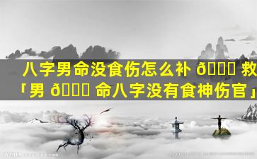 八字男命没食伤怎么补 🕊 救「男 🐝 命八字没有食神伤官」